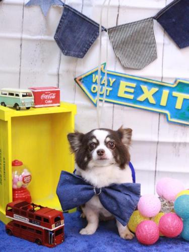 20230401アンジくん